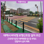 태백시,  횡단보도 4개소 바닥형 보행신호등 설치