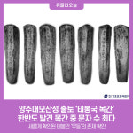 양주대모산성 출토 태봉국 목간…한반도 발견 목간 중 문자 수 최다