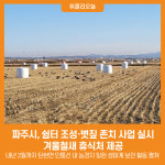 [위클리오늘] 파주시, 쉼터 조성·볏짚 존치 사업 실시...겨울철새 휴식처 제공