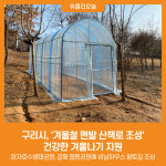 [위클리오늘] 구리시, 겨울철 맨발 산책로 조성 건강한 겨울나기 지원