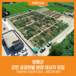 [위클리오늘] 양평군, 군민 공공텃밭 분양 대상자 모집