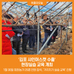 [위클리오늘] 김포 샤인머스캣 수출 현장실습 교육 개최