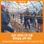 [위클리오늘] 김포 샤인머스캣 수출 현장실습 교육 개최