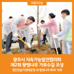 [위클리오늘] 광주시 지속가능발전협의회, 제2회 왕벚나무 가로수길 조성