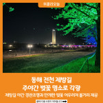 [위클리오늘] 동해 전천 제방길 주야간 벚꽃 명소로 각광