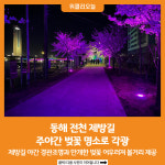 [위클리오늘] 동해 전천 제방길 주야간 벚꽃 명소로 각광