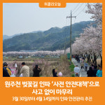 [위클리오늘] 원주천 벚꽃길 인파 사전 안전대책으로 사고 없이 마무리