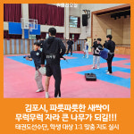 [위클리오늘] 김포시, 파릇파릇한 새싹이 무럭무럭 자라 큰 나무가 되길!!!