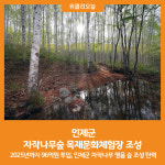 [위클리오늘] 인제군, 자작나무숲 목재문화체험장 조성