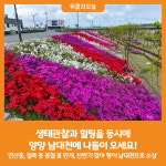[위클리오늘] 생태관찰과 힐링 동시에, 양양 남대천에 나들이 오세요!