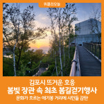 [위클리오늘] 김포시, 봄빛 장관 속 최초 봄길걷기행사 뜨거운 호응