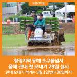 [위클리오늘] 동해시, 청정지역 동해 초구들녘서 첫 모내기 실시