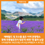 [위클리오늘] 동해 무릉별유천지 방문객 40만 명 돌파 눈앞