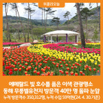 [위클리오늘] 동해 무릉별유천지 방문객 40만 명 돌파 눈앞