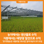 [위클리오늘] 농지에서는 생산물로 수익, 지붕에서는 태양광 발전으로 수익