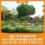 [위클리오늘] 꽃들이 만개한 속초시 설악산자생식물원으로 초대합니다