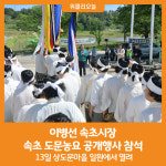 [위클리오늘][포토]이병선 속초시장, 속초 도문농요 공개행사 참석