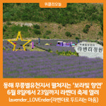 별천지민속품 | [위클리오늘] 동해 무릉별유천지서 펼쳐지는 '보라빛 향연'