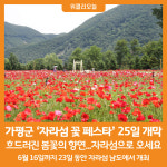 [위클리오늘] 가평군, 자라섬 꽃 페스타 25일 개막...6월 16일까지 개최