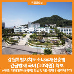 [위클리오늘] 강원특별자치도, 소나무재선충병 긴급방제 국비 (10억원) 확보
