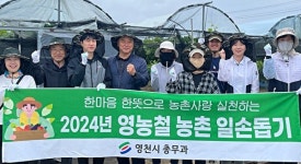 대창면-오길리-P224723064662 | [위클리오늘] 영천시, 공직자 농촌 일손 돕기 본격 시작…."농촌 사랑, 주민 어려움 함께한다."