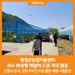 [위클리오늘] 횡성군농업기술센터, 과수 화상병 예찰에 드론 적극 활용