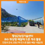 [위클리오늘] 횡성군농업기술센터, 과수 화상병 예찰에 드론 적극 활용