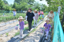 [위클리오늘][포토] 이병선 속초시장, 새싹농장 수확체험 참여