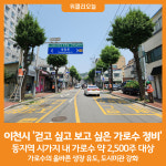 [위클리오늘] 이천시, 걷고 싶고 보고 싶은 가로수 정비