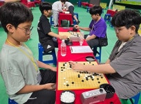 [위클리오늘] 경북 영천, 2024 경북 별빛 어린이바둑대회 성료...초등생 223명 참가 열전