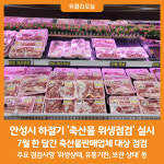 [위클리오늘] 안성시, 하절기 대비 축산물 위생점검 실시