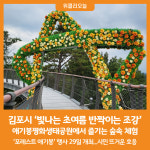 [위클리오늘] 김포시, 애기봉평화생태공원에서 즐기는 숲속 체험...시민 뜨거운 호응