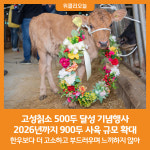[위클리오늘] 고성칡소 500두 달성 기념행사...2026년까지 900두 사육 규모 확대