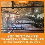 [위클리오늘] 홍천군 자체생산 미생물, 악취 저감 효과 입증