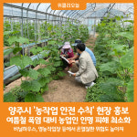 [위클리오늘] 양주시, 여름철 폭염대비 농작업 안전수칙 현장 홍보 나서