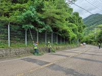 [위클리오늘] 산청군 시천면, 도로변 잡목제거 실시