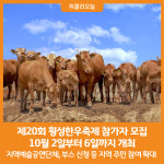 [위클리오늘] 제20회 횡성한우축제 참가자 모집