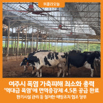 [위클리오늘] 여주시, 폭염 대비 가축피해 최소화 총력