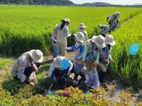 [위클리오늘] 139만 유튜버 정브르와 파주 디엠지(DMZ) 생태탐험대가 만나다
