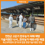 [위클리오늘] 연천군, 고온기 기술지원 한우농가 애로사항 해결