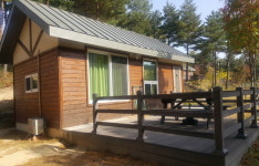 [위클리오늘] 양양군, 양양송이밸리자연휴양림으로 힐링하러 오세요!