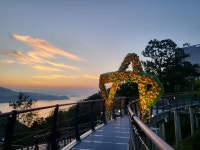 [위클리오늘] 김포시 애기봉 평화생태공원 야간개장, 빛과 음악의 환상적 감동 선사