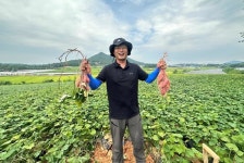 [위클리오늘] 전남도, 9월 친환경농산물에 영암 유기농 고구마