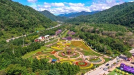 [위클리오늘] 2024 인제 가을꽃축제 오는 28일 개막