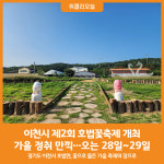[위클리오늘] 이천시, 제2회 호법꽃축제 개최…가을 정취 만끽