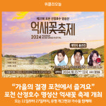 [위클리오늘] 포천시, 제27회 포천 산정호수 명성산 억새꽃 축제 개최