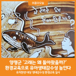 [위클리오늘] 양평군, 유치원생 대상 생태감수성 교육 진행