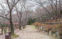 [위클리오늘] 팔공산국립공원, 캠핑 초보자 대상 야영 참가자 환영...「국립공원 캠핑스쿨」