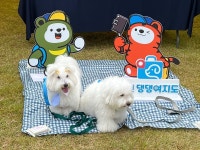 [위클리오늘] 강원관광재단, 2024 도그페스타 인(in) 강아지숲 연계 강원 댕댕여지도 홍보