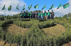 [위클리오늘] 고령군새마을, 쌍림면 안림교차로 일원 새마을동산 조성 박차